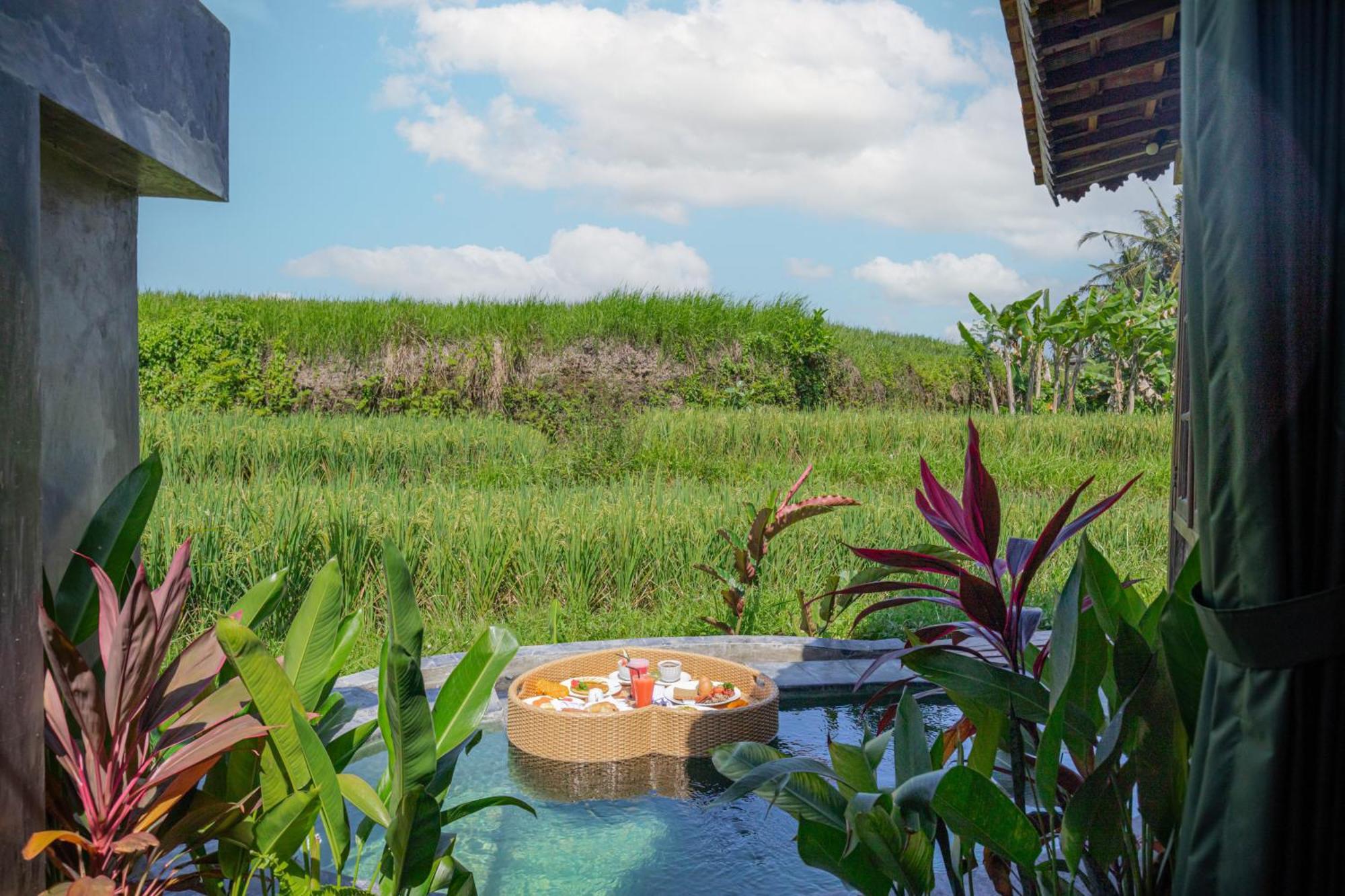 Abian Ubud View Kültér fotó